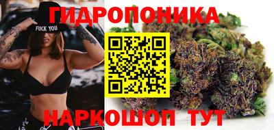 наркотики Сланцы