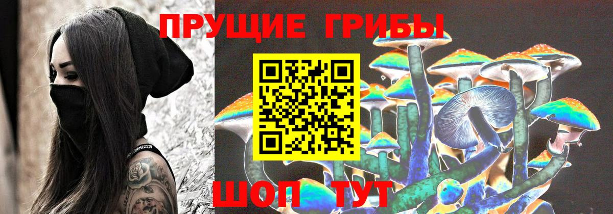 Псилоцибиновые грибы Cubensis  Галлюциногенные грибы мицелий  Майский  Вход с VPN 