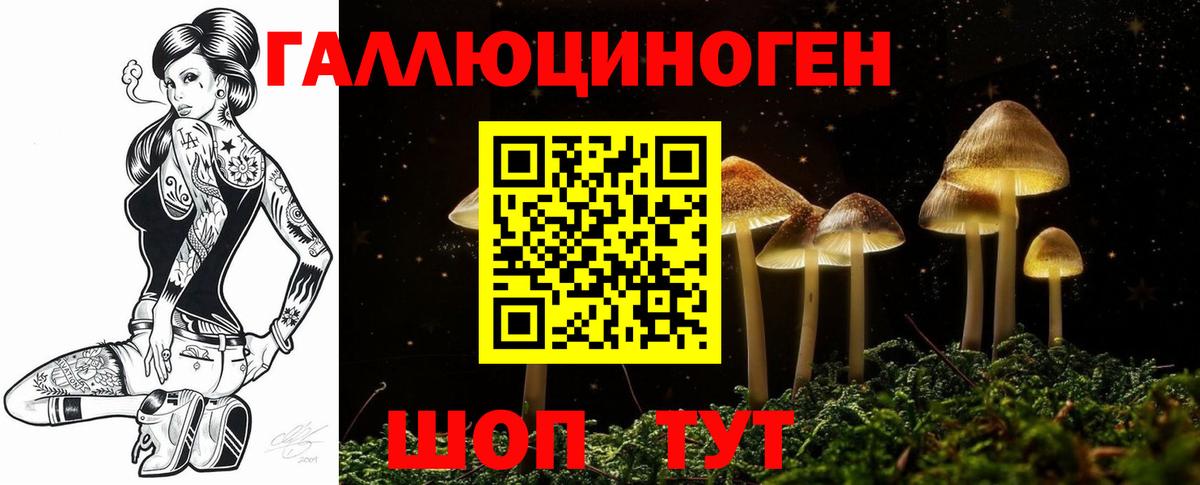 Псилоцибиновые грибы мухоморы Майский
